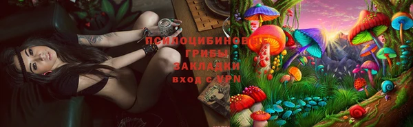амф Верея