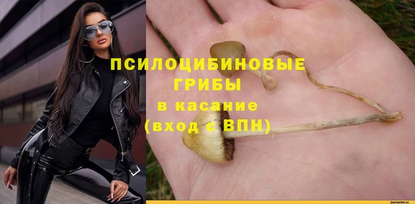 гашик Верхний Тагил
