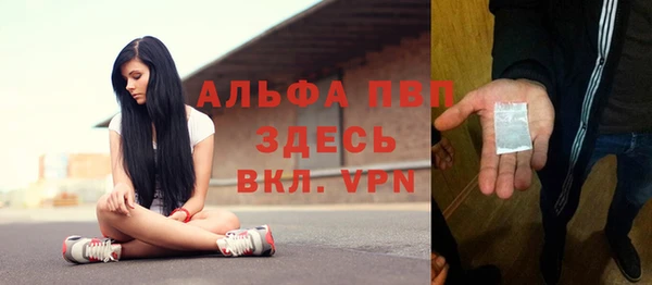дурь Бородино