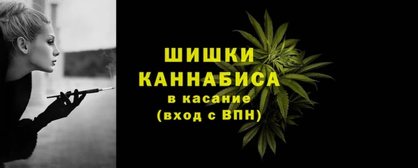 дурь Бородино