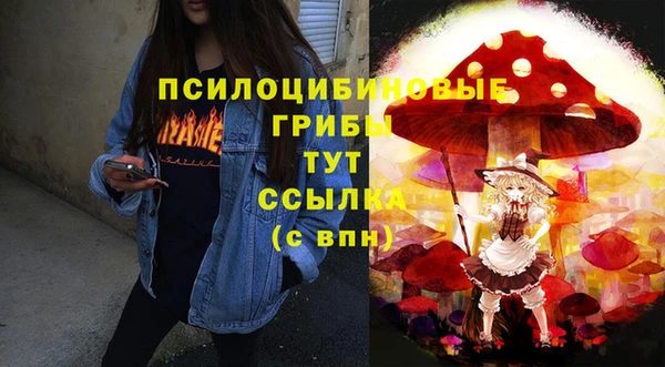 гашик Верхний Тагил