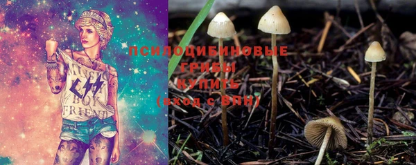 дмт Бронницы