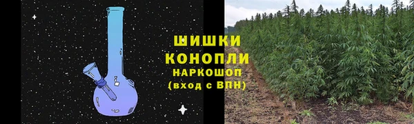 амф Верея